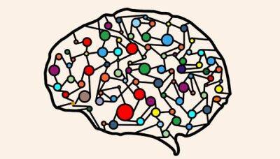 Ученые составили карту сети мозга, связанную с зависимостью