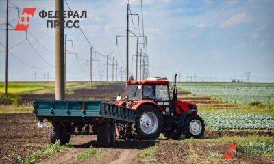 В Новосибирской области погибла часть урожая