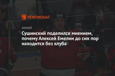 Сушинский поделился мнением, почему Алексей Емелин до сих пор находится без клуба