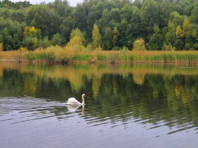Власти Трускавца пообещали выдавать повестки за купание в питьевом озере - gordonua.com - Россия - Украина