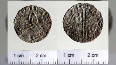 Найдена монета с изображением знаменитого короля викингов