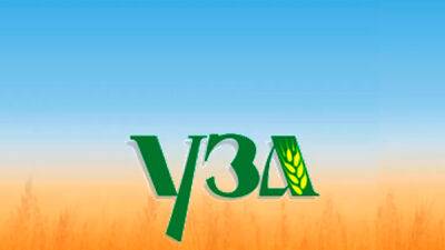Зернотрейдеры просят правительство Украины организовать зерновой коридор через Молдову