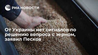 Пресс-секретарь президента Песков: от Украины нет сигналов по решению вопроса с зерном
