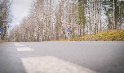 Буцаев: На строительство трасс пустят изношенные шины и стеклобой