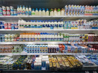 Из-за санкций российским производителям не хватает картона для пищевой упаковки