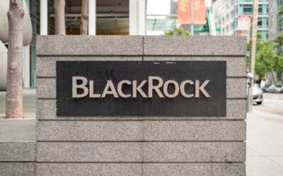 BlackRock призвал инвесторов не торопиться выкупать провал в акциях США