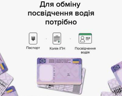 Алесь Цвирк - Украинские водительские права признали в Евросоюзе - lenta.ua - Украина