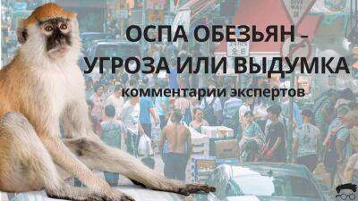 Эксперты не видят риска значительного распространения оспы обезьян в Украине