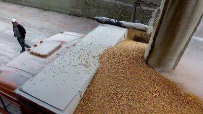 В Запорожской области национализировали запасы зерна и госпредприятия Украины