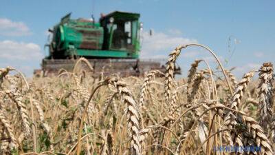Война нанесла ущерб сельскому хозяйству Украины уже на $4,3 миллиарда