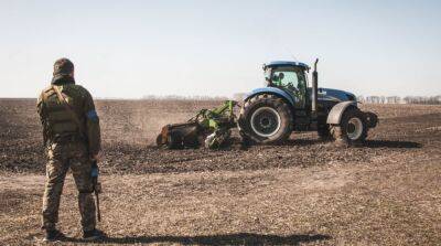 Какой убыток война нанесла сельскому хозяйству в Украине – исследование