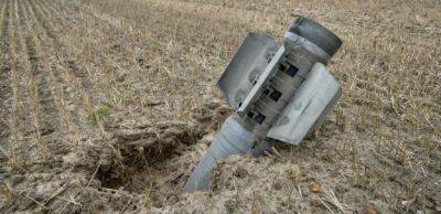 Война с РФ: Убыток сельскому хозяйству Украины составил $4,3 миллиарда