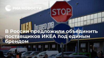 Сенатор Васильев предложил объединить российских поставщиков ИКЕА под единым брендом