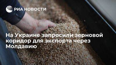 Украинская зерновая ассоциация запросила коридор для экспорта зерна в Дунай через Молдавию