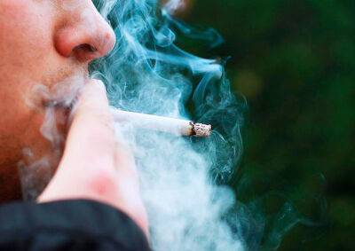 Прага вводит временный запрет на курение в парках