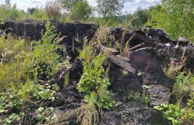 На территории бывшего асфальтобетонного завода в Тверской области нашли нефтепродукты на почве