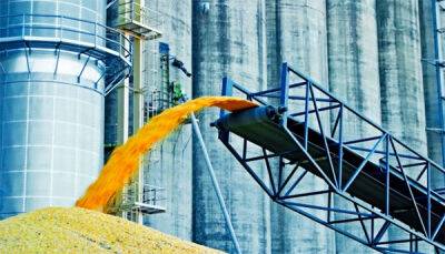 В правительстве Польши назвали сроки строительства хранилищ для украинского зерна