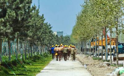 В Самарканде откроют крупнейший дендропарк в Центральной Азии