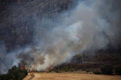 Лесные пожары выжгли 1600 гектаров леса в испанской Каталонии - unn.com.ua - Украина - Киев - Испания