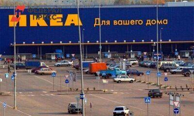 Останется ли IKEA в Ленобласти: ответ губернатора