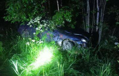Ночью в Тверской области автомобиль сбил лося