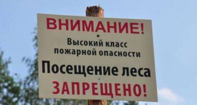 На Луганщине почти на месяц ввели запрет посещать леса - cxid.info - Луганск