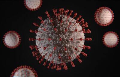 В Тверской области за сутки выявлено менее 20 зараженных коронавирусом
