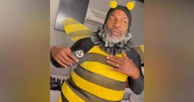 Пчелка Майк. 55-летний Тайсон станцевал в костюме насекомого (видео)