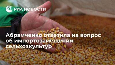 Абрамченко: России будет труднее всего заместить импорт семян сои, кукурузы и свеклы