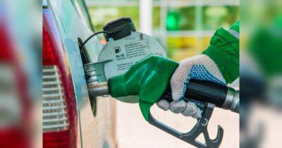 У Польщі водії вже мітингують проти здорожчання пального: що буде з цінами на бензин