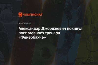 Александар Джорджевич покинул пост главного тренера «Фенербахче»