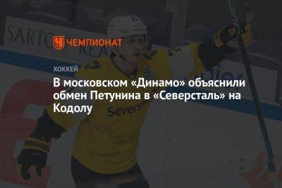 В московском «Динамо» объяснили обмен Петунина в «Северсталь» на Кодолу