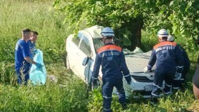Под Пензой автомобиль врезался в дерево – погибла женщина