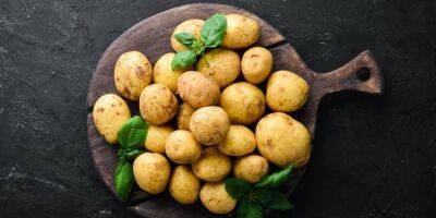 Не просто вареная. 8 рецептов из молодой картошки