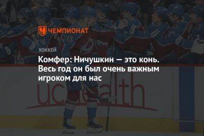 Комфер: Ничушкин — это конь. Весь год он был очень важным игроком для нас