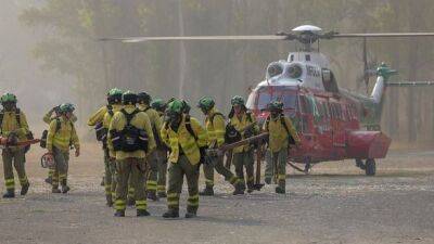 Из-за лесных пожаров в Испании эвакуировано 11 сел - unn.com.ua - Украина - Киев - Испания - Мадрид - Reuters