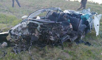 На трассе Тюмень-Омск водитель погиб из-за попытки объехать косулю