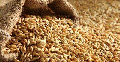 Еврокомиссия запустила торговую платформу для оптимизации экспорта зерна из Украины