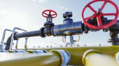 Германия готовит дополнительные меры по экономии газа из-за сокращения импорта из рф
