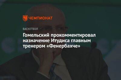 Гомельский прокомментировал назначение Итудиса главным тренером «Фенербахче»