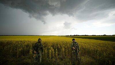 Украинские фермеры ищут альтернативных покупателей зерна