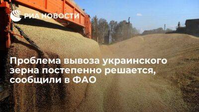 Директор отделения ФАО в России Кобяков: проблема вывоза украинского зерна решается