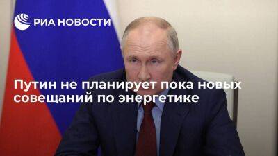 Песков: президент Путин не планирует пока новых совещаний по энергетике