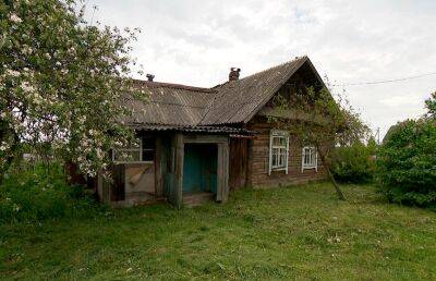 Как купить участок в Беларуси за 32 рубля? Рассказываем