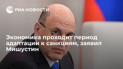 Премьер Мишустин заявил, что экономика проходит непростой период адаптации к санкциям
