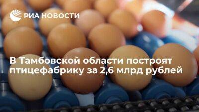 В Тамбовской области построят птицефабрику за 2,6 млрд рублей