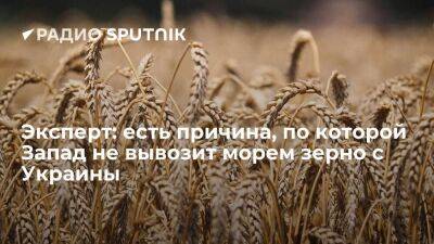 Эксперт: есть причина, по которой Запад не вывозит морем зерно с Украины