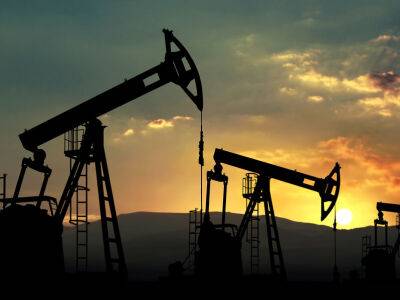 Страны ОПЕК+ договорились увеличить добычу нефти, чтобы заменить российскую нефть – СМИ