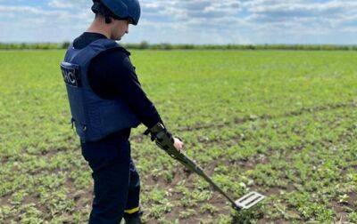 В Украине заминированы более 30 млн гектаров земли