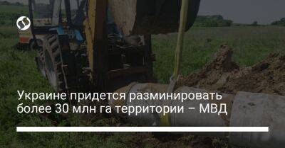 Украине придется разминировать более 30 млн га территории – МВД